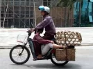 tu-the-goi-tinh.webp