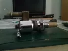 grifo1.webp