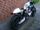 xr 0001.webp