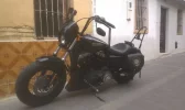 cupula2.webp