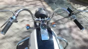 DSC_1066.webp