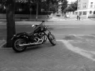 Mi Moto(4).webp