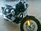 sb monkey 2.webp