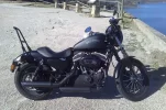 moto.webp