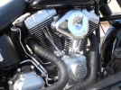P4270061.webp