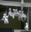 581px-Teruterubouzu.webp