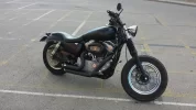harley final.webp