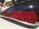 la foto 1.webp
