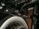 DSCN3501.webp
