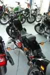 DSC04436.webp