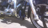 11042138_10205073096378984_2075438857_n.webp