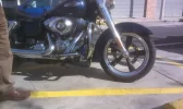 11047239_10205073096458986_579448071_n.webp