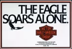 Eagle Soars Alone.webp