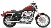 2005-HarleyDavidson-XL883.webp