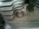 ImageUploadedByTapatalk1431534754.158191.webp
