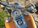 HARLEY 4.webp
