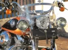 HARLEY 9.webp