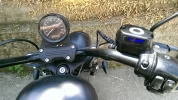 nightster 009.webp