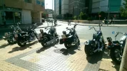 IMG-20150621-WA0133.webp