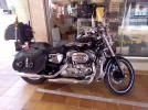 Harley Pegera.webp