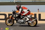 harley caférecta perfil.webp