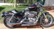 mi harley.webp