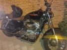 WP_001699.webp