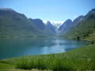 DSCN0769.webp