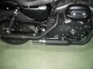 IMGP1595.webp