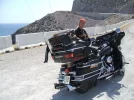 HOG EUROPEAN 105.webp