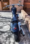 harley 3.webp