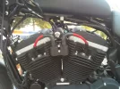 IMG00095-20100715-1927.webp