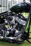 Corrección de hairballbobber13zr2[1].webp