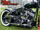 hairballbobber13zr2[1].webp