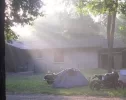 camping2b.webp