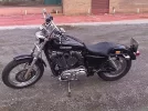 harley.webp