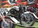 IMG_0031_1000_750[1].webp
