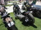 IMG_0070_1000_750[1].webp