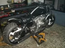 tino5 001.webp