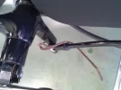 29072010663.webp