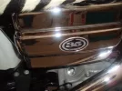 harley5.webp