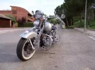 100_0102.webp