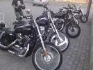 LGIM0085.webp