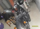 SDC10316.webp