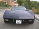 P9120037.webp