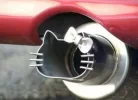 kittypipe[1].webp