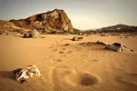 desierto-arabia-saudi.webp