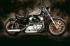 Harley_Sportster_03_brn_side.jpg