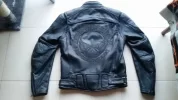 Harley4.webp