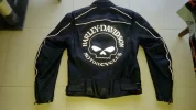 Harley3.webp